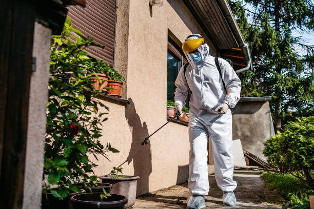 Best Local Pest Control Services  in Colma, CA